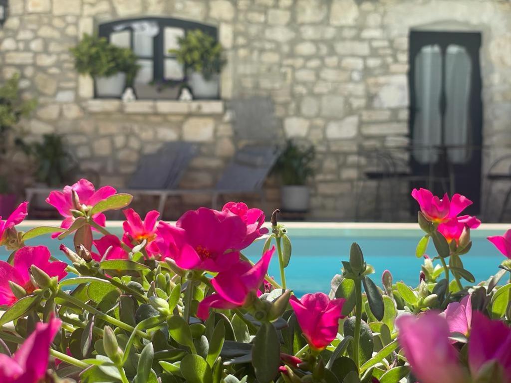 Maison D'Hotes Payan Champier Saint-Paul-Trois-Châteaux Exterior foto